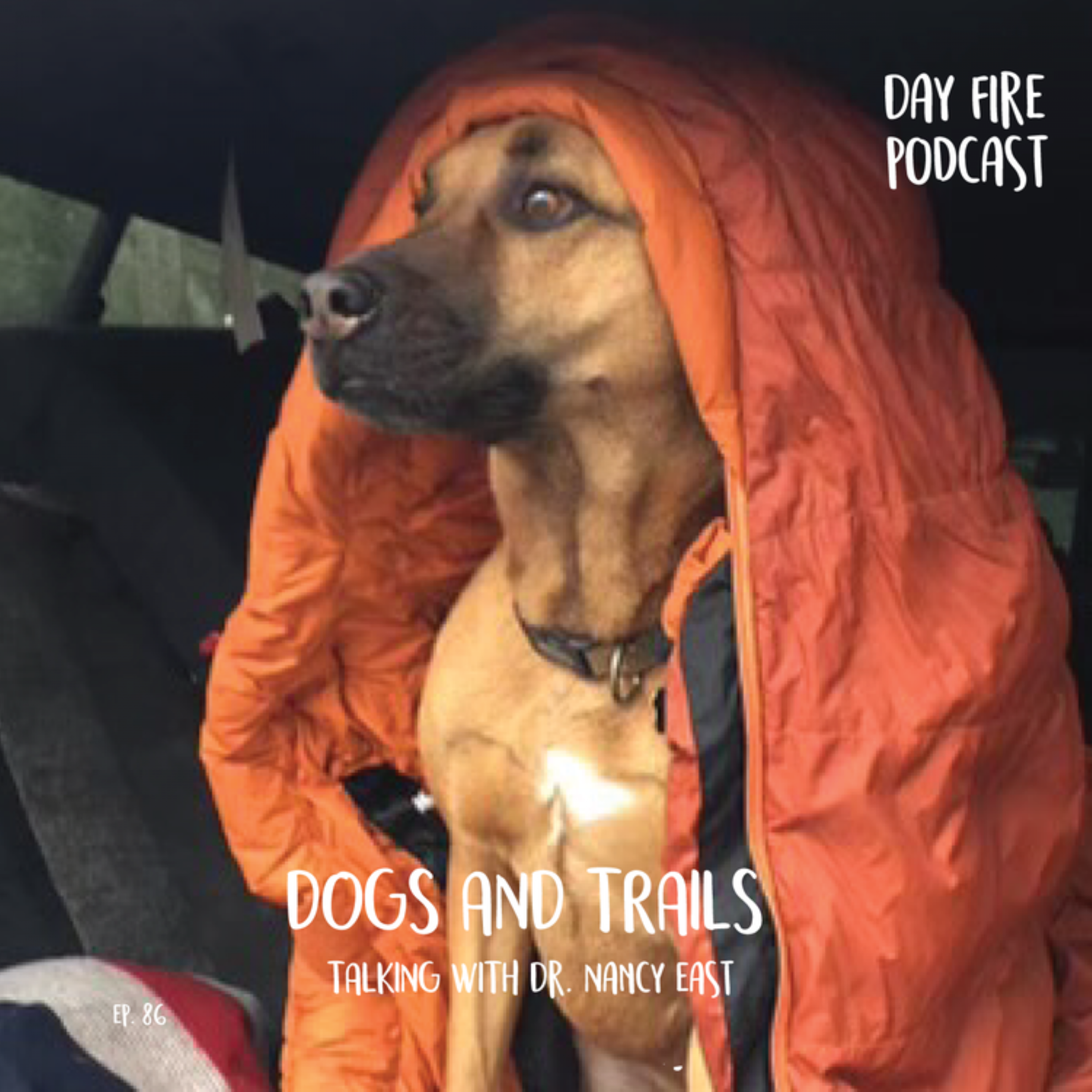 Day Fire Podcast