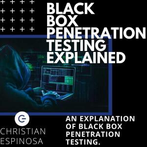 Black Box Penetration Testing Explained