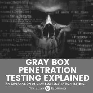 Gray Box Penetration Testing Explained