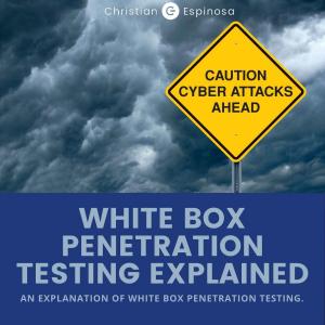 White Box Penetration Testing Explained