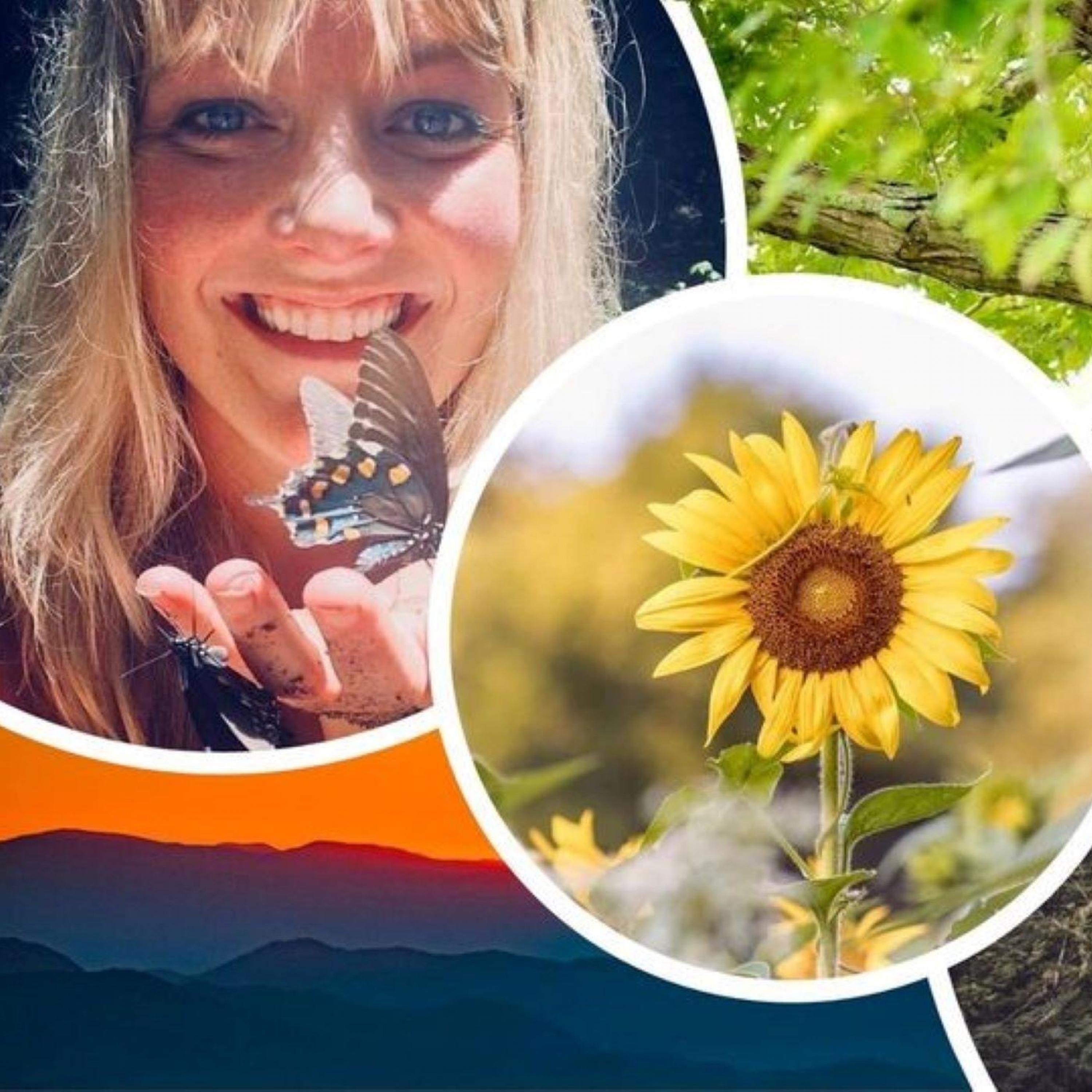 Kristi Parsons on DTB! The Smokey Mountains and Healing Power of Nature