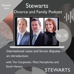 International cases and forum disputes – an introduction