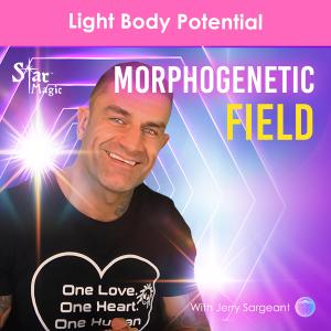 Morphogenetic Field | Light Body Potential