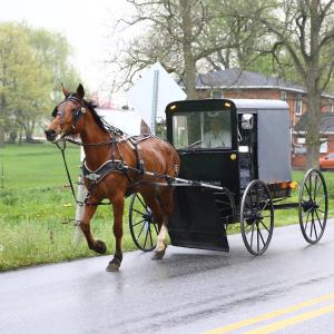 Short Outtake - The Amish and the Pandemic