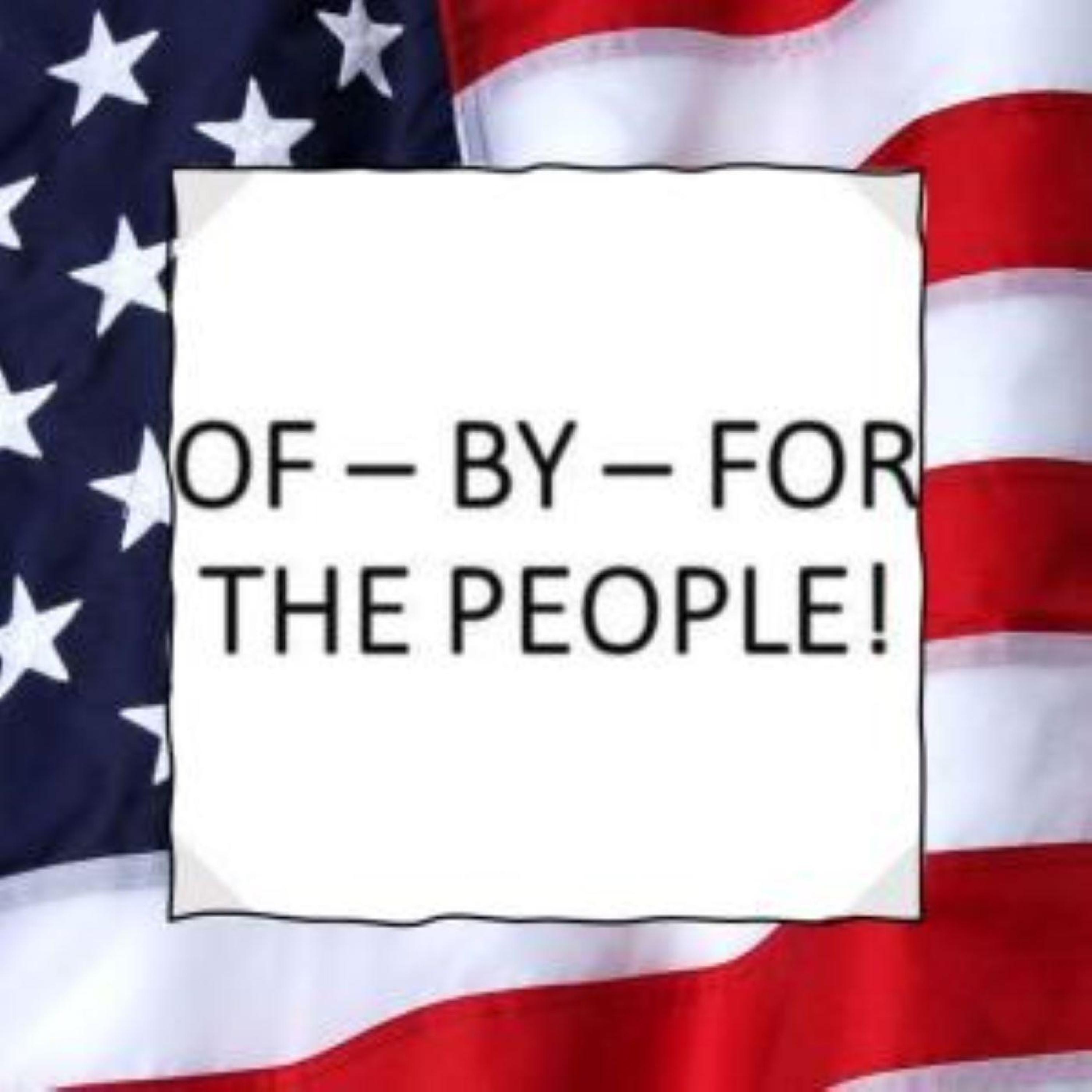 Constitutional and Bill of Rights - Deep Dives! Article 1 - Section 2 - Qualifications to be a Representative!