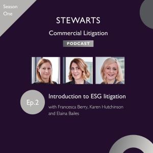 ESG litigation: an introduction