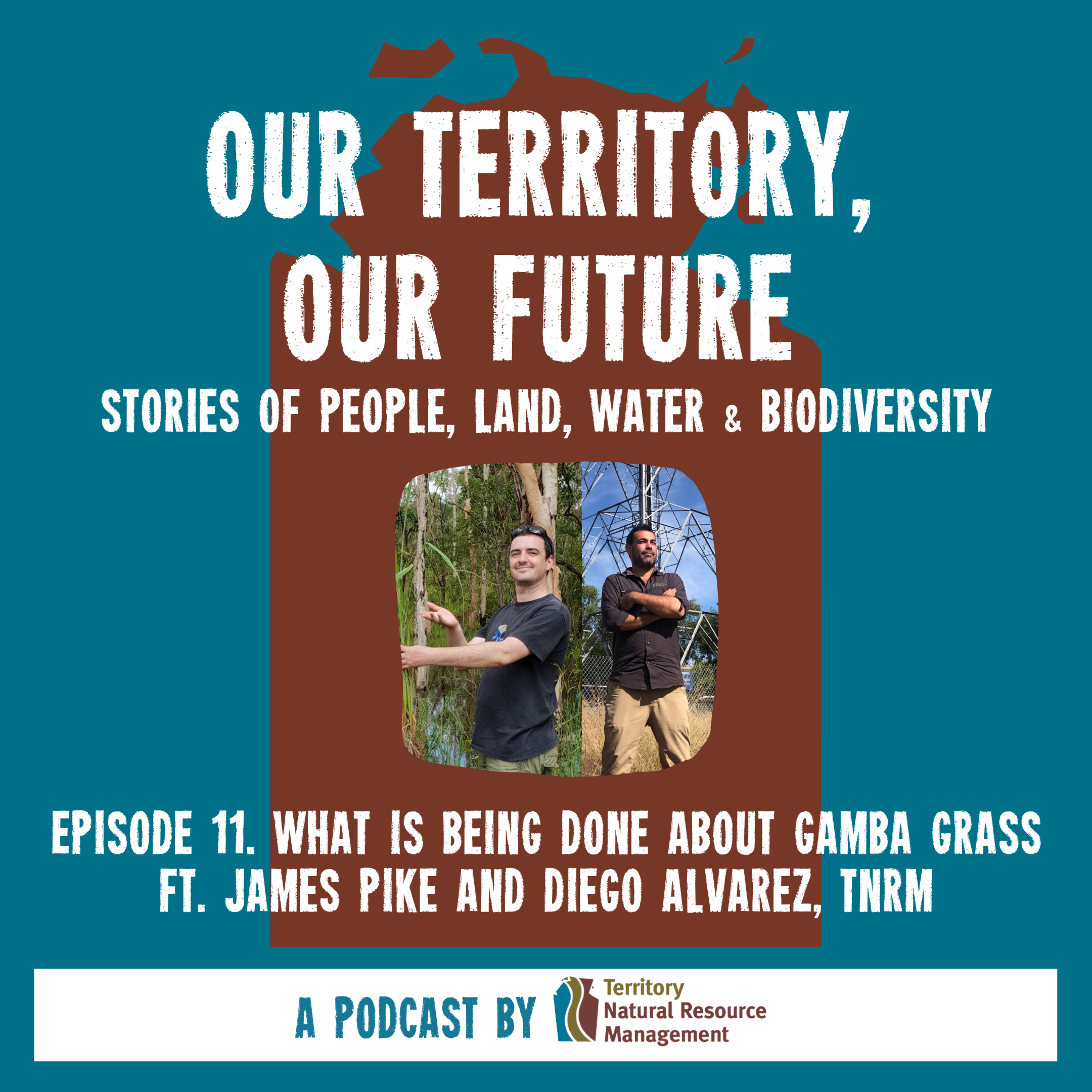 What is being done about Gamba Grass? (Part 3) ft. Diego Alvarez and James Pike, Territory NRM