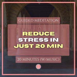 reduce university stress in 20 min | 20min mindfulness meditation for university students (with music)