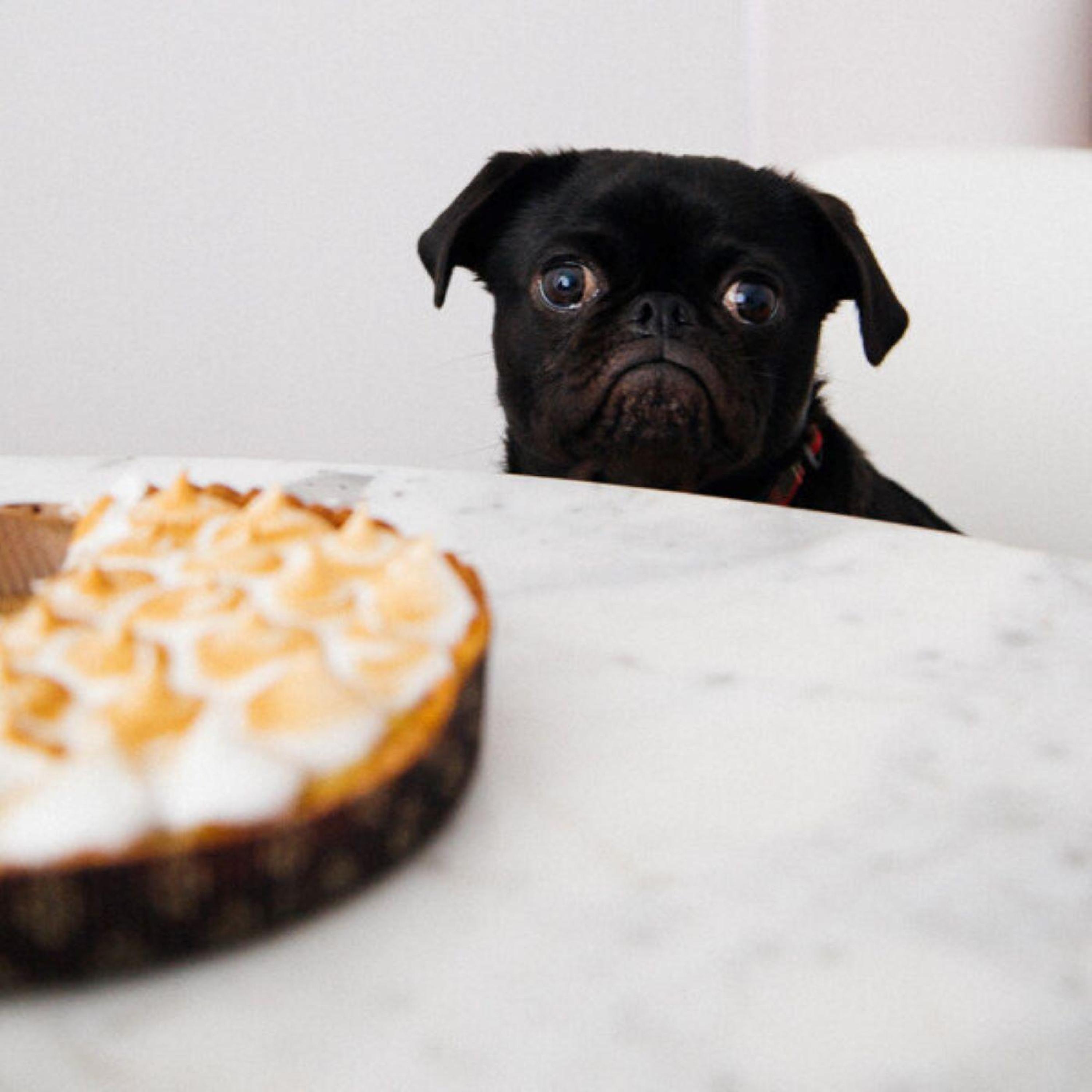 Easy Steps to Control Your Weight and Health Through Intermittent Fasting with The Holistic Navigator