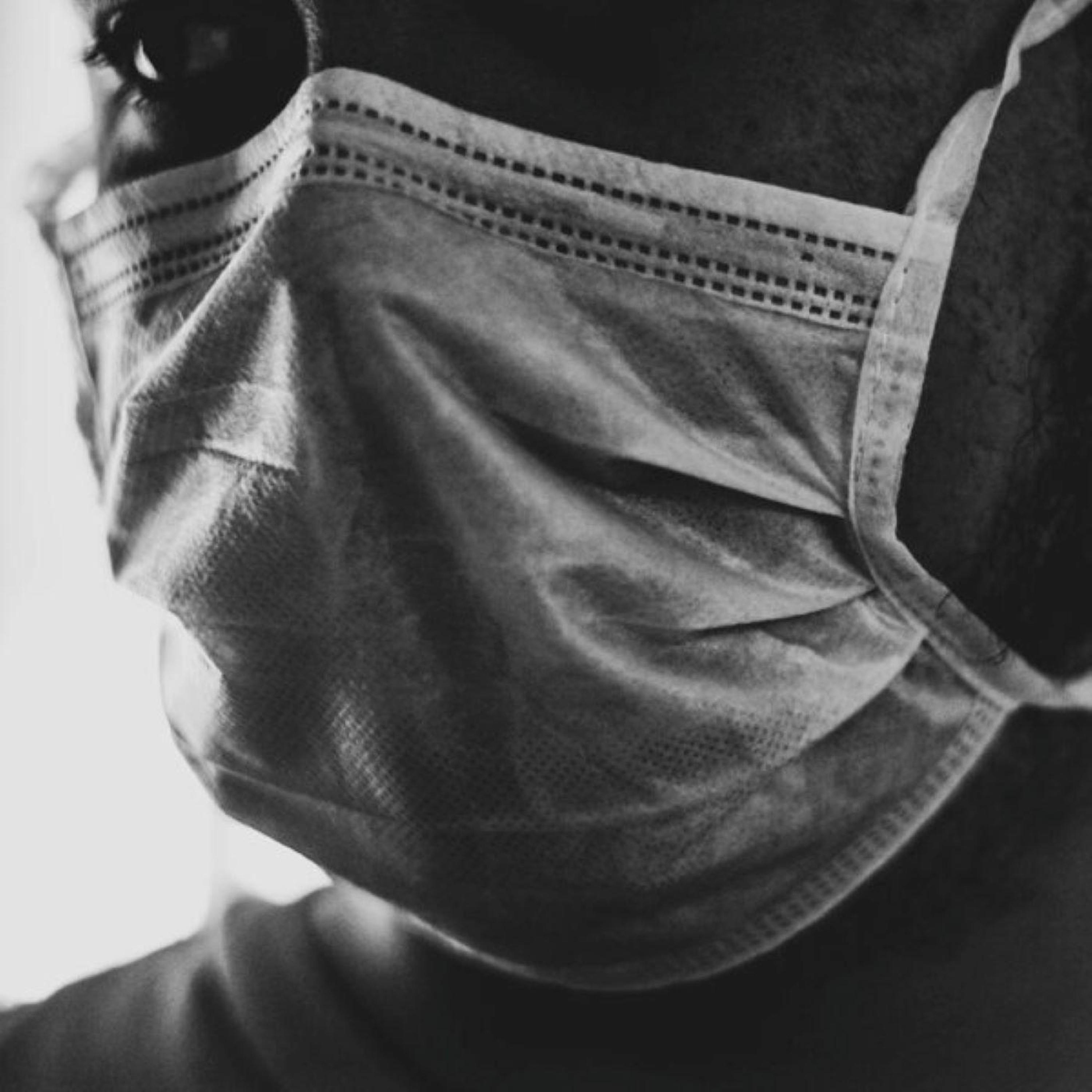 The Power of Quercetin in Combatting Illness with The Holistic Navigator