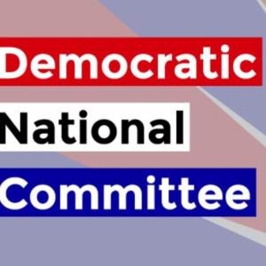 The Democratic National Committee Elections! DEI and More!