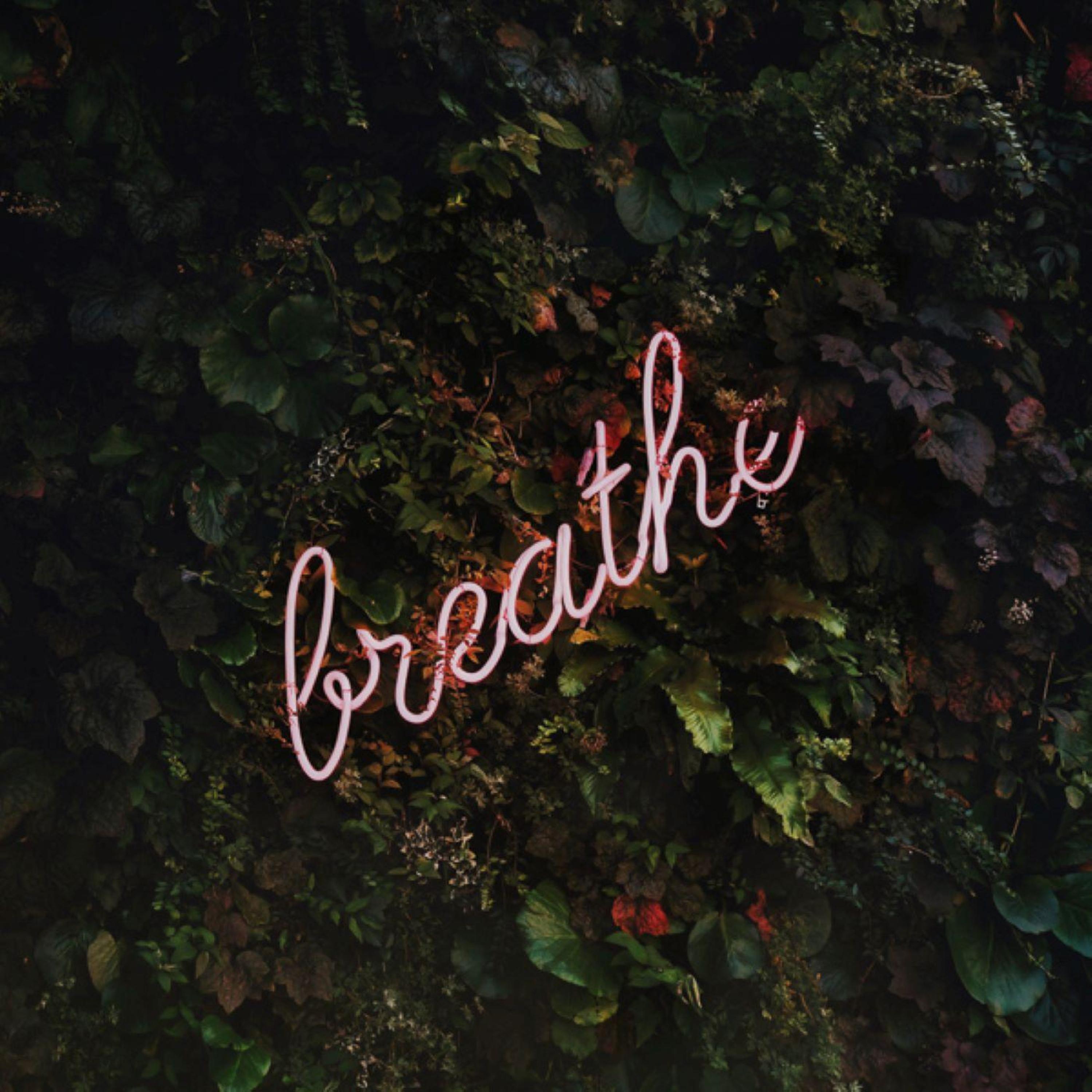 You're Breathing Wrong: The Buteyko Breathing Method from The Holistic Navigator