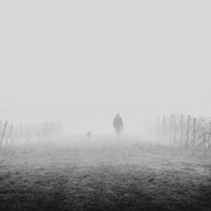 Conquer Brain Fog: Clearer Thinking and More Productive Days with The Holistic Navigator