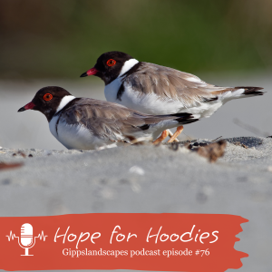 Hope for Hoodies
