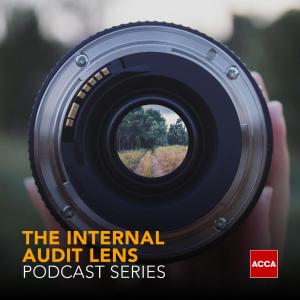 Internal Audit Lens - Critical thinking for internal auditors
