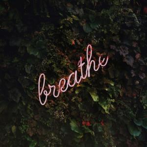 You're Breathing Wrong: The Buteyko Breathing Method with The Holistic Navigator