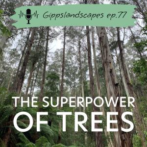 The superpower of trees