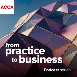 From Practice to Business - The extended team