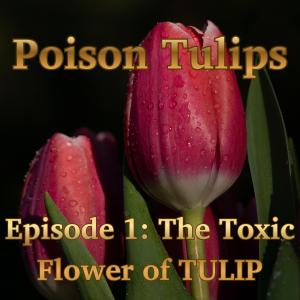 The Toxic Flower of TULIP