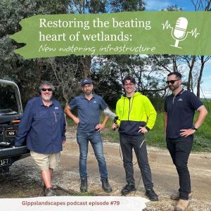 Restoring the beating heart of wetlands