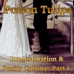 Predestination & Purity Culture: Part I