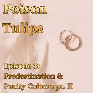 Predestination & Purity Culture: Part II