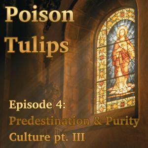 Predestination & Purity Culture: Part III