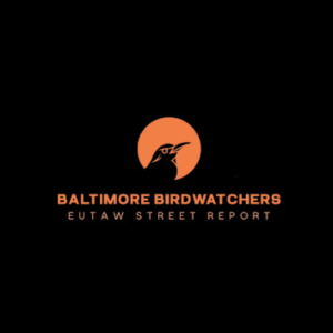 Baltimore Birdwatchers Debut + First Half Recap