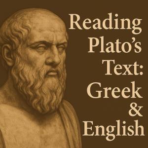 Reading Plato's Text
