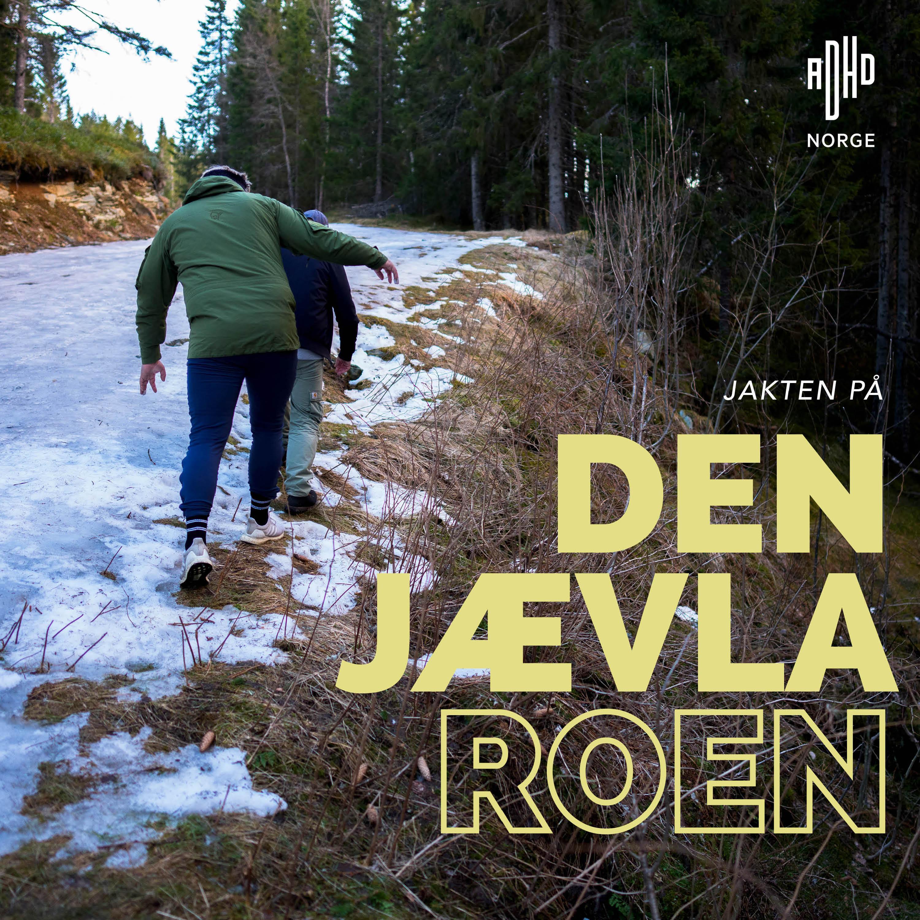 Jakten på den jævla roen